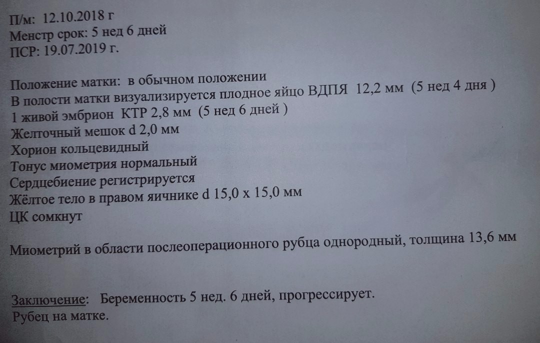 6 недель беременности форум. 6 Акушерских недель беременности на УЗИ. Нормы УЗИ на 7 неделе беременности. УЗИ на 5 акушерской неделе беременности. УЗИ 5-6 недель беременности.