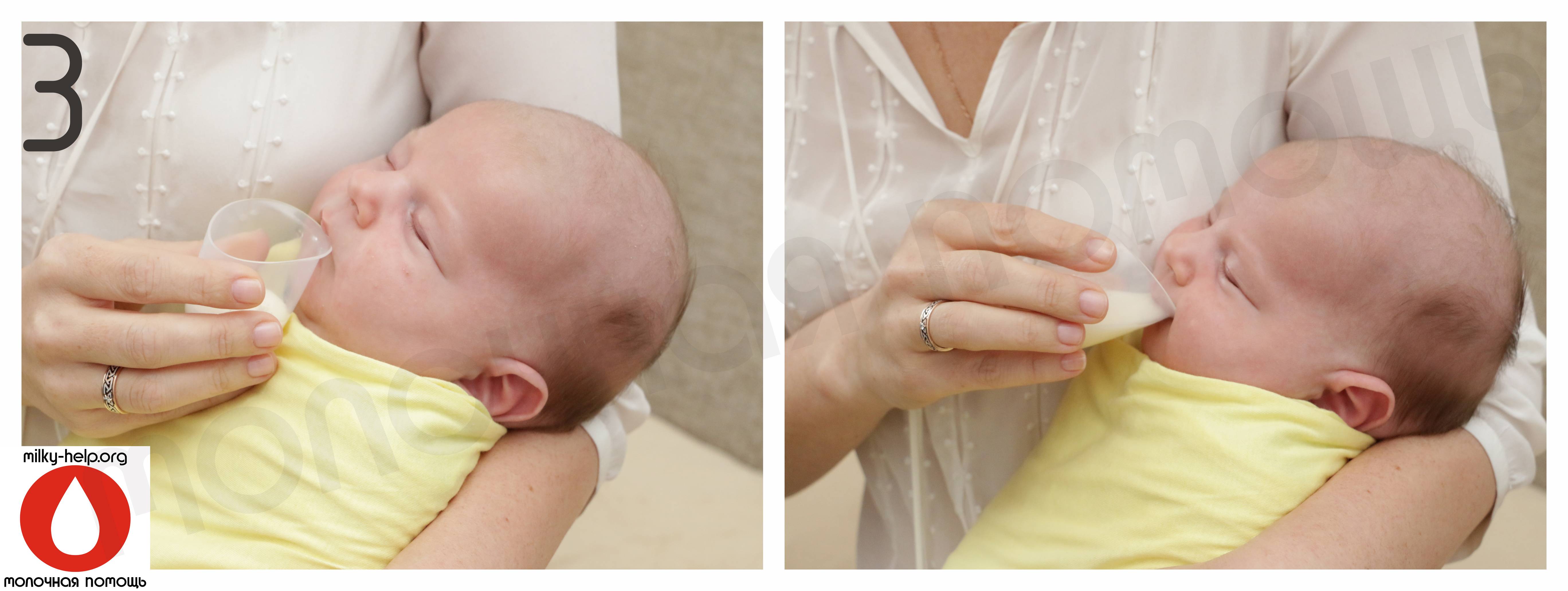 Ребенок срыгивает молоко после кормления новорожденный. Чашечки для докорма ребенка. Докорм новорожденного из чашки. Чашка для докорма малыша. Докорм для новорожденных при грудном вскармливании.