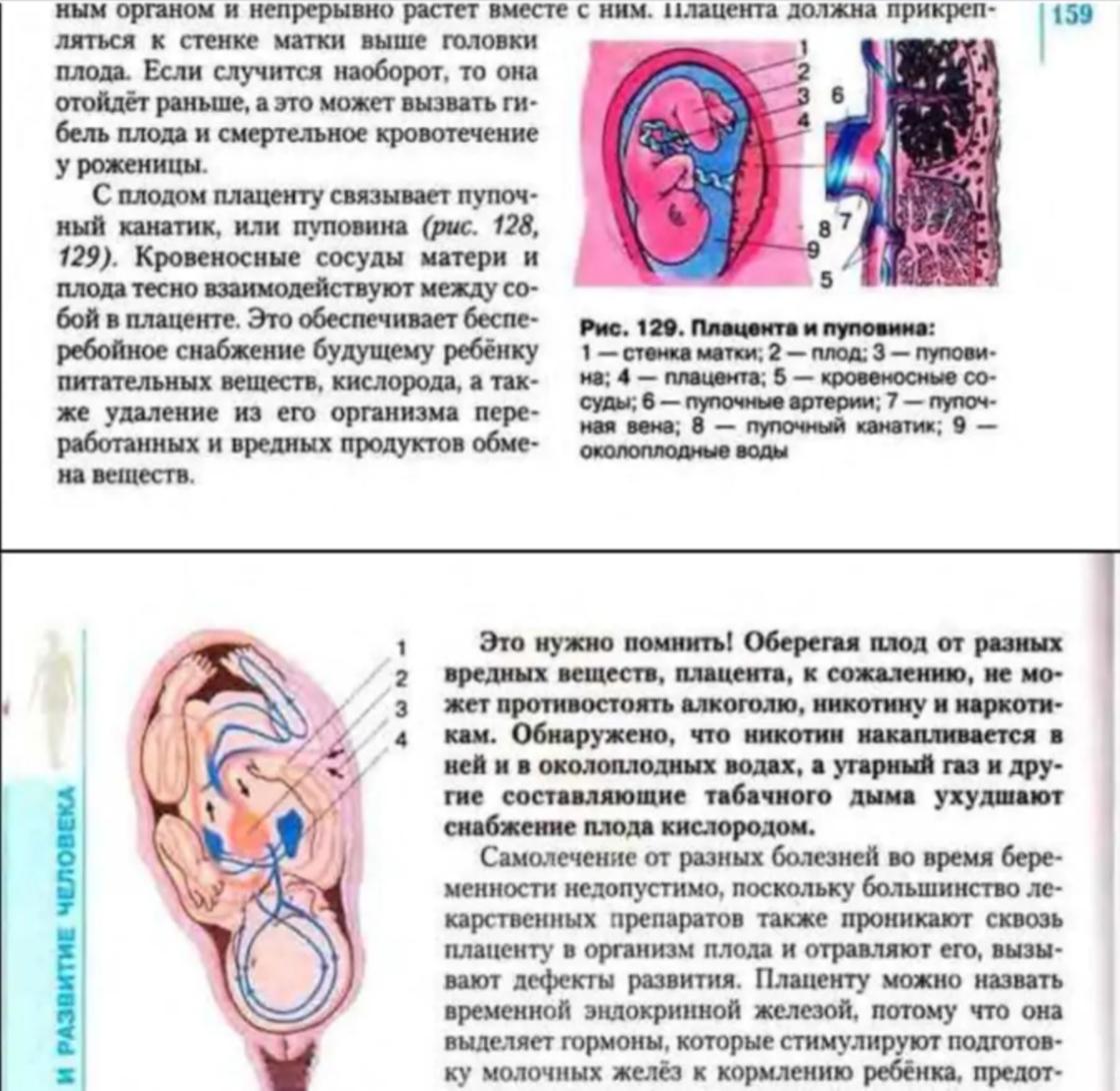 Токсикоз на какой неделе