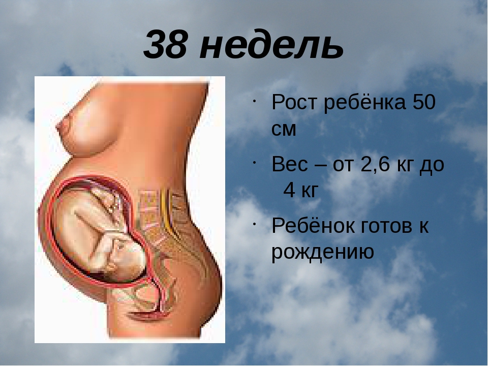 35 неделя беременности сколько весит