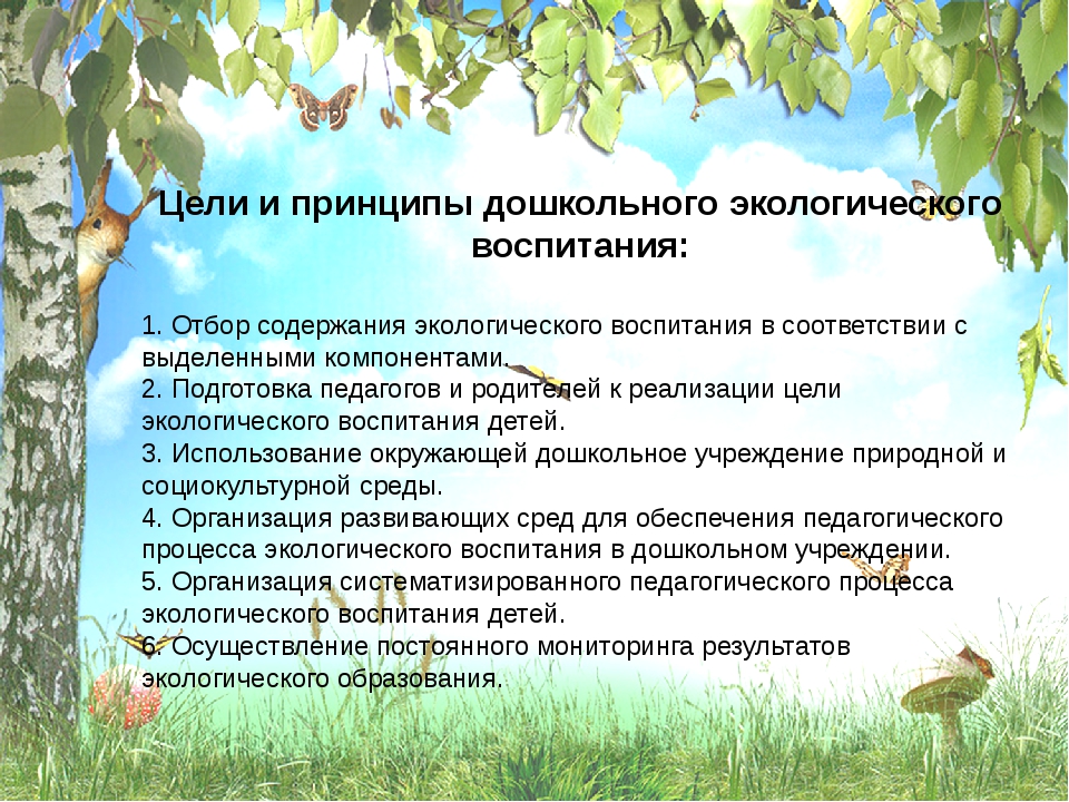 Задача экологического воспитания детей. Принципы экологического воспитания дошкольников. Методы экологического воспитания дошкольников. Методика экологического воспитания дошкольников. Экологическое образование дошкольников.