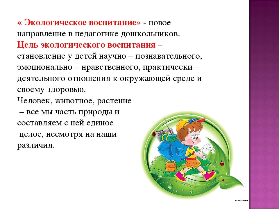 Метод проектов в экологическом воспитании