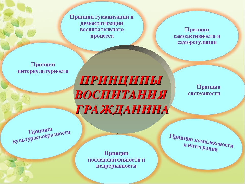 К современным принципам воспитания не относится. Принцип гуманизации в педагогике. Принципы воспитания в педагогике.