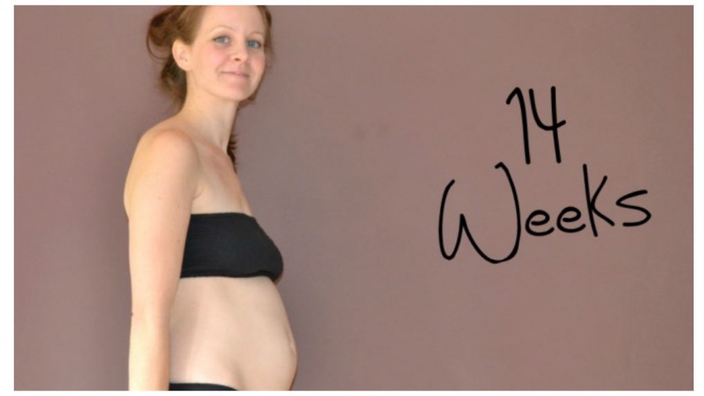 15 2 недели беременности