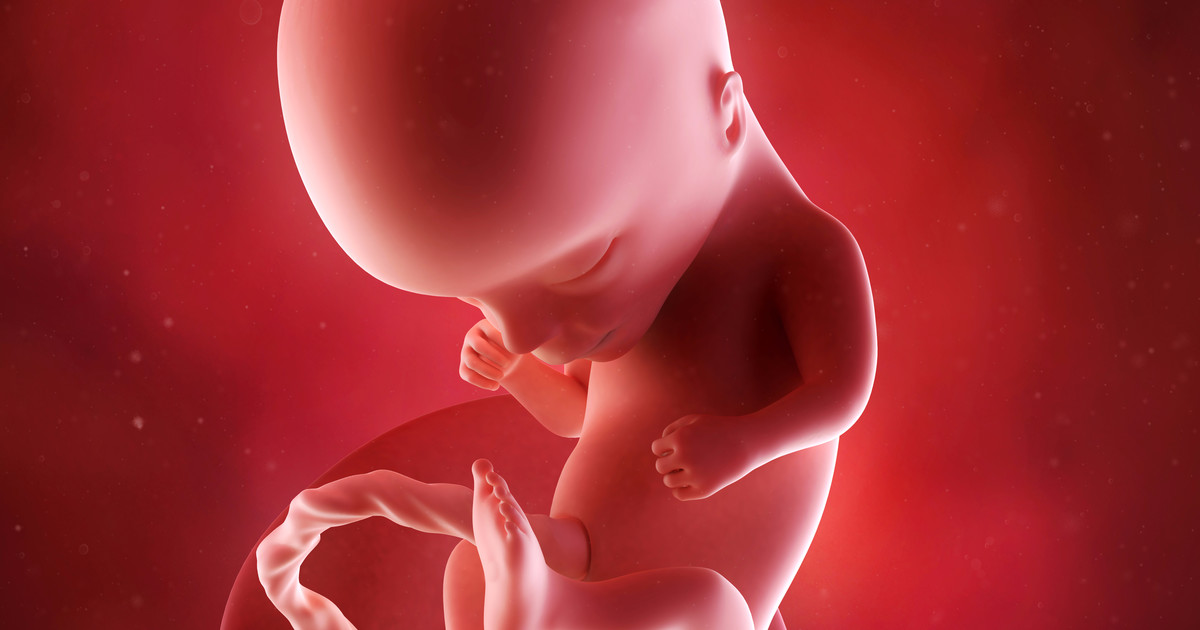 Беременность 13 недель развитие плода и ощущения женщины фото