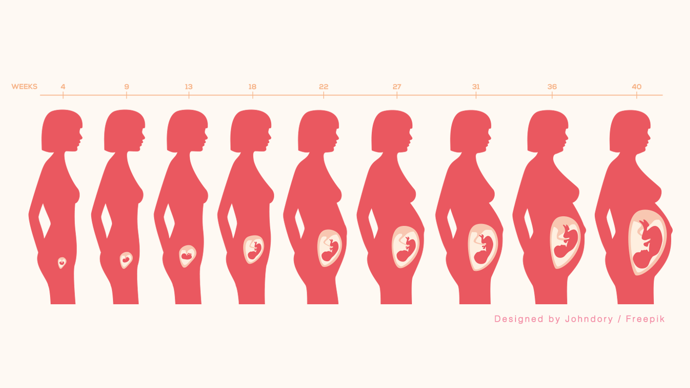 грудь при беременности не растет живот фото 4
